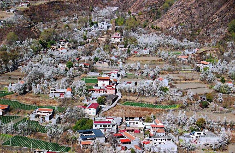 སི་ཁྲོན་གྱིས་ས་ཁོངས་འཕེལ་རྒྱས་གཏོང་བའི་རྣམ་པ་གསར་པ་ཞིག་བཏོད་དེ་དཀར་མཛེས་དང་རྔ་པ་སོགས་ཀྲོའུ་དང་ནང་སའི་དབར་མཐུན་སྦྱོར་འཕེལ་རྒྱས་ལ་སྐུལ་མ་གཏོང་རྒྱུ་ཡིན་པ།
