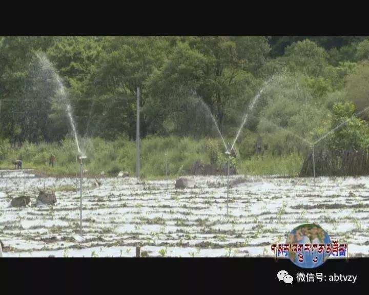  ཁྲོ་ཆུ་རྫོང་གི་ཞིང་བའི་ཡོང་སྒོ་འཕར་སྣོན་བྱུང་། 
