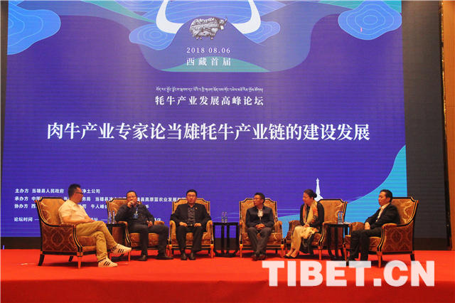 བོད་ལྗོངས་འདམ་གཞུང་གི་འབྲི་གཡག་ཐོན་ལས་ལ་རྒྱལ་ནང་གི་ཆེད་ལས་མཁས་པས་གྲོས་བསྡུར་འཁྲུག་པོ་གནང་།