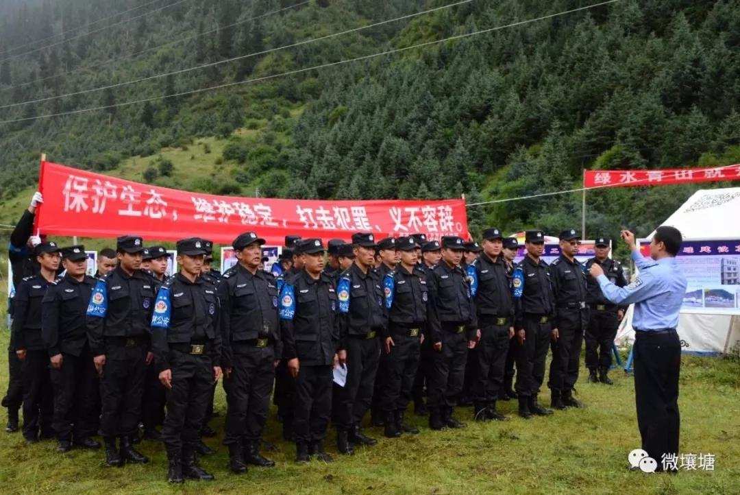 སི་ཁྲོན་དང་མཚོ་སྔོན་གཉིས་མཉམ་འབྲེལ་གྱིས་ནགས་ཚལ་སྲུང་སྐྱོབ་བྱས་པ།