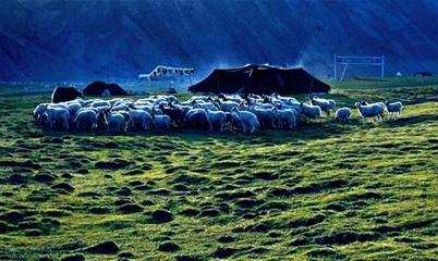༄༅།། ཧོར་བྲག་མགོ་སྤོ་པྲོམ་གྲོང་པའི་ལོ་ངོ་བརྒྱའི་རིང་གི་སྐད་ཆ་འཕོ་འགྱུར།