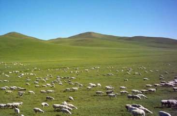 ༄༅།། ཨ་མདོའི་ཡུལ་སྐད་ཀྱི་ཁྱད་ཆོས་དང་དེའི་འབྱུང་རྐྱེན་སྐོར་ལ་རགས་ཙམ་དཔྱད་པ།