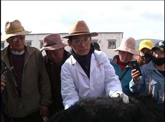 རྔ་བ་རྫོང་གིས་ཕྱུགས་ཟོག་གི་རིམས་ནད་སྔོན་འགོག་དང་ཚོད་འཛིན་ལག་རྩལ་གསོ་སྦྱོང་བྱས། 