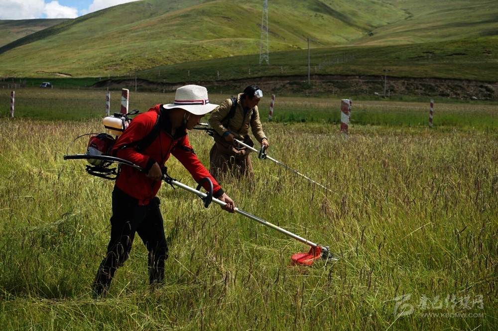 རྩྭ་སར་སྲུང་སྐྱོབ་བྱས་ཏེ་གསེར་ཐར་མི་དམངས་ལ་བདེ་སྐྱིད་བསྐྲུན།