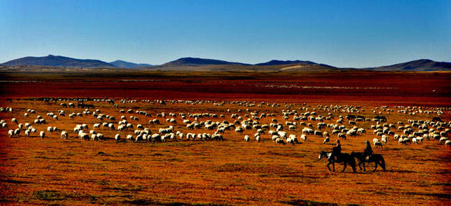 རང་གི་ལག་ཟུང་ལ་བརྟེན་ནས་ཕྱུག་འགྱུར་གྱི་ལམ་དུ་སྐྱོད་པ།