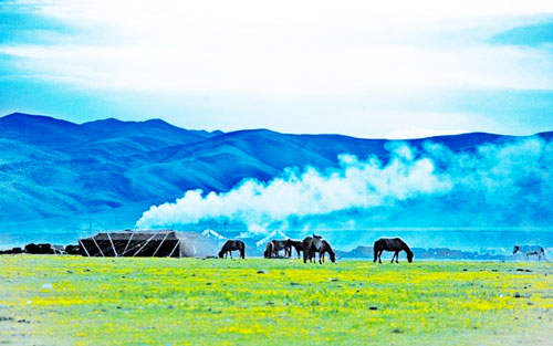 ༄༅།། བོད་ཀྱི་རིག་ཚན་གནས་བབ་ལས་མཛེས་དཔྱོད་རིག་པའི་སྐོར་རགས་ཙམ་གླེང་བ།