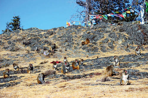 ༄༅།། གནས་ཆེན་རྡོ་རྗེ་ཕག་མོ་རིའི་དཀར་ཆག