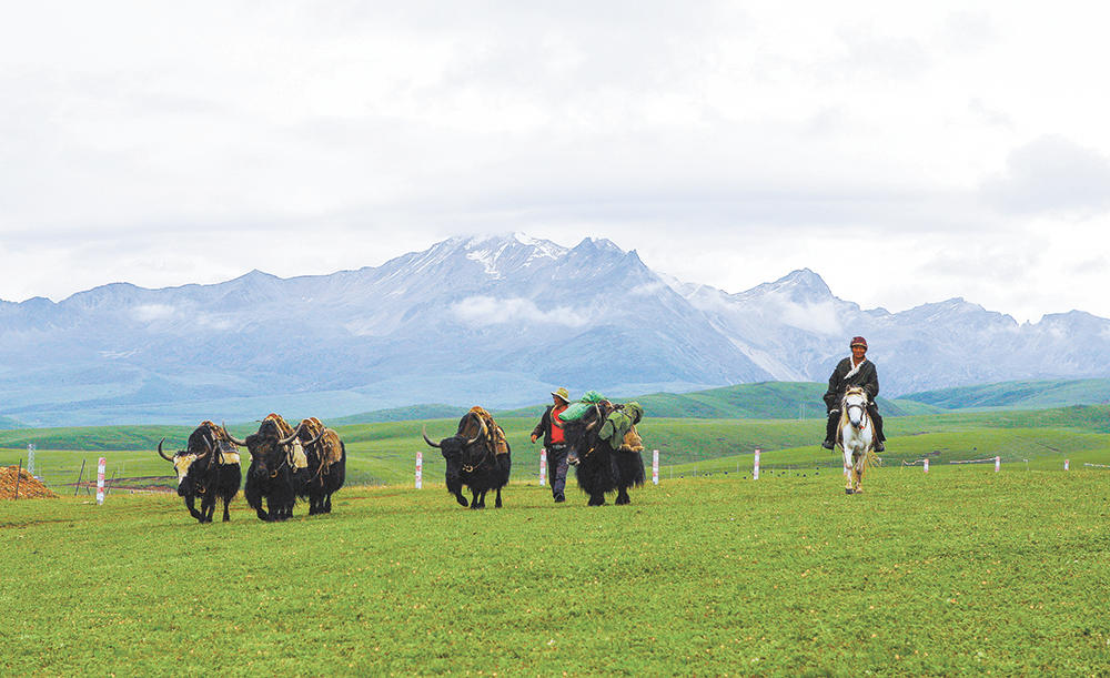 ༄༅།། ལོ་རྒྱུས་དངོས་ཤུལ་ལས་འབྲོག་པའི་གོམས་སྲོལ་སྐོར།