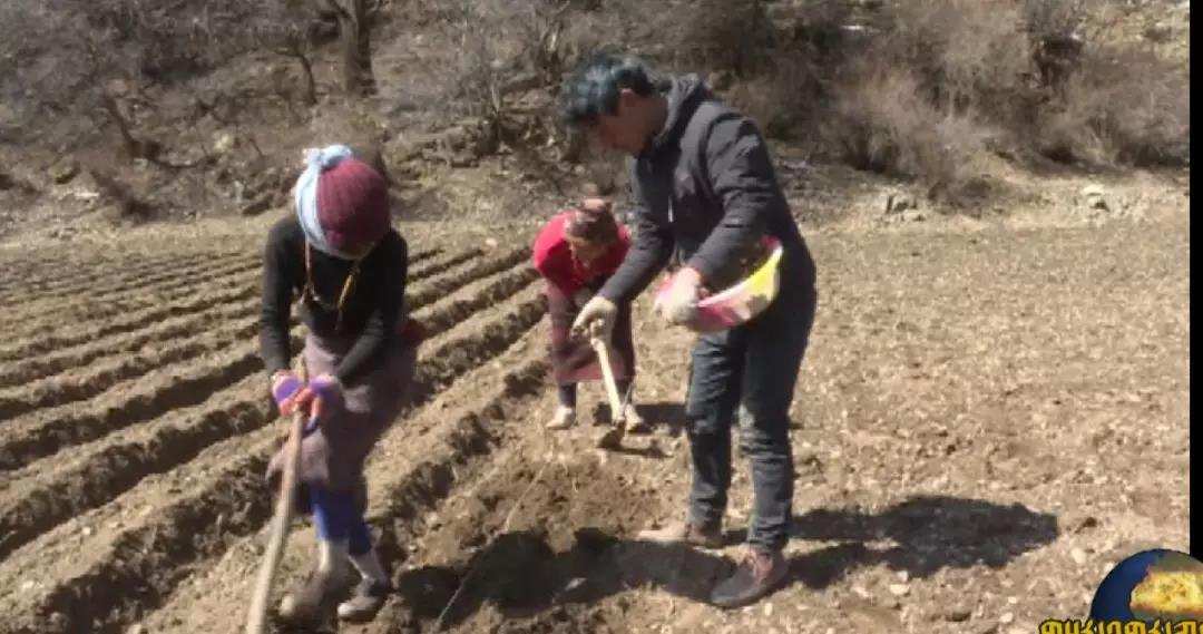 ཛམ་ཐང་གིས་ཚན་རྩལ་དབུལ་སྐྱོར་དང་དཔེ་སྟོན་རྣམ་གྲངས་མཛད་སྒོ་སྤེལ།
