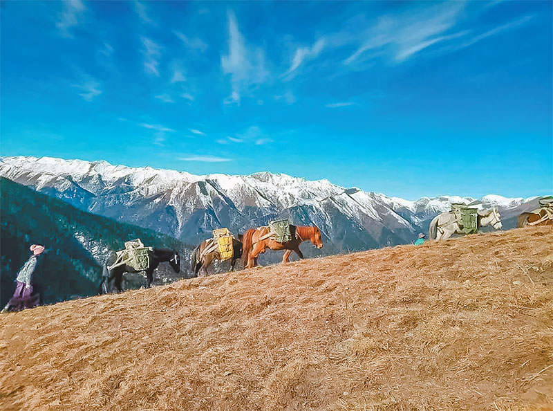 ཁལ་མར་བརྟེན་ནས་དངོས་ཟོག་རི་བོའི་སྒང་ལ་དབོར་བ། 
