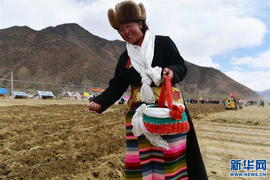 བོད་ལྗོངས་ཀྱི་ཞིང་བས་གླུ་ལེན་གར་འཁྲབ་བྱས་ཏེ་དཔྱིད་རྨོས་མཛད་སྒོ་སྤེལ།