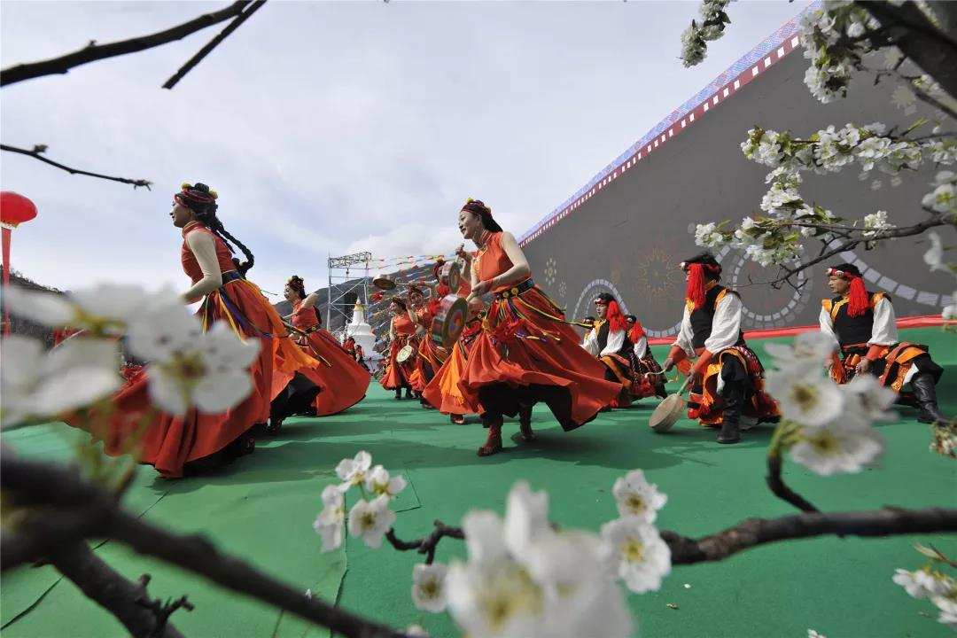 ཆུ་ཆེན་རྫོང་གིས་སྐབས་དྲུག་པའི་ཆང་བ་ལིའི་མེ་ཏོག་དུས་སྟོན་སྤེལ།