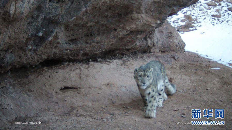 རྨ་ཆུའི་ཆུ་འགོ་ན་འཚོ་བའི་གསའ། 