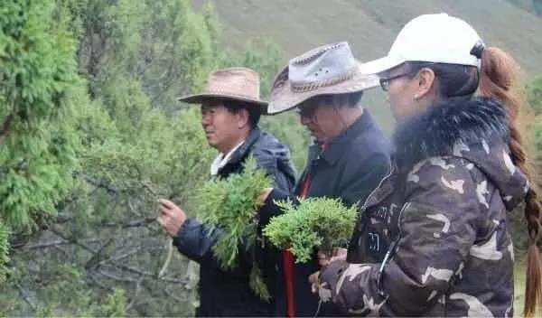 མཚོ་བོད་མཐོ་སྒང་གི་རི་ཆུའི་རིག་གནས་ནི་ཁྱེད་དང་ང་ཡི་གཅེས་ནོར་ཡིན།