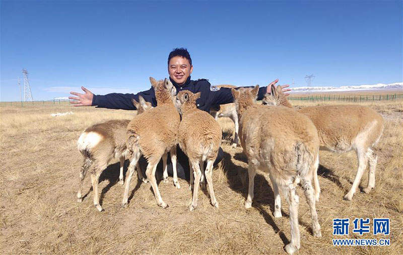 ལྷུན་གྲུབ་ཚེ་རྒྱལ་གྱིས་ཁུ་ཁུ་ཤི་རིའི་སྐོར་གཡེང་ཆེད་ལང་ཚོ་སྐྱེས་སུ་འབུལ་རྒྱུ་ཡིན་ཞེས་བརྗོད་པ།