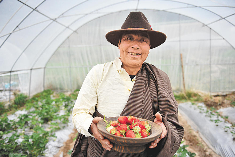 ཞིམ་མངར་ལྡན་པའི་འབྲི་ཏ་ས་འཛིན་ལ་བརྟེན་ནས་བདེ་སྐྱིད་ཀྱི་འཚོ་བ་བསྐྲུན།