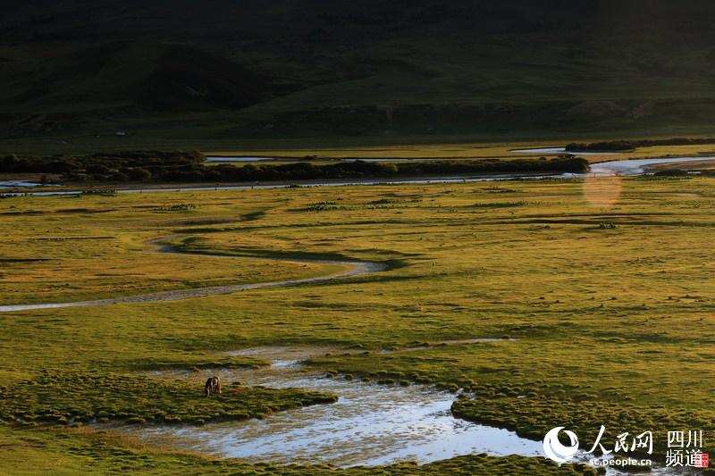 ལི་ཐང་རྫོང་གིས་འདམ་ར་སྲུང་སྐྱོང་རྒྱུན་འཁྱོངས་བྱས་པ།