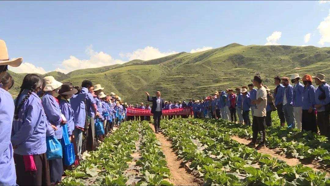 འཛམ་ཐང་རྫོང་གིས་ཆེད་ལས་ཞིང་བ་གསར་བ་སྐྱེད་སྲིང་བྱས།