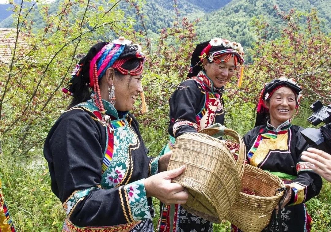 གཡེར་མའི་ཐོན་ལས་སྤེལ། ཕྱུག་འགྱུར་ལམ་དུ་བསྐྱོད།