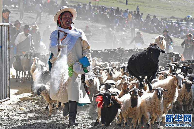 བོད་ཀྱི“མགོ་རྩིས”སྲོལ་རྒྱུན་བྱེད་སྒོ།