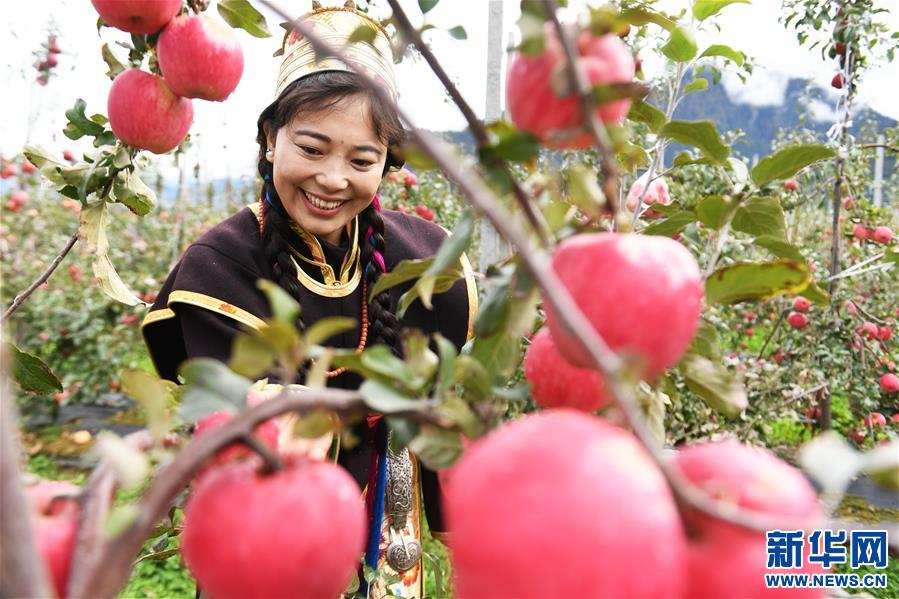 ཁྲོན་བོད་མཉམ་འབྲེལ་བྱས་ནས་བོད་ལྗོངས་ཀྱི་ཀུ་ཤུ་ཚད་ལྡན་ཅན་གྱི་འདེབས་འཛུགས་ལ་སྐུལ་འདེད་བཏང་བ།