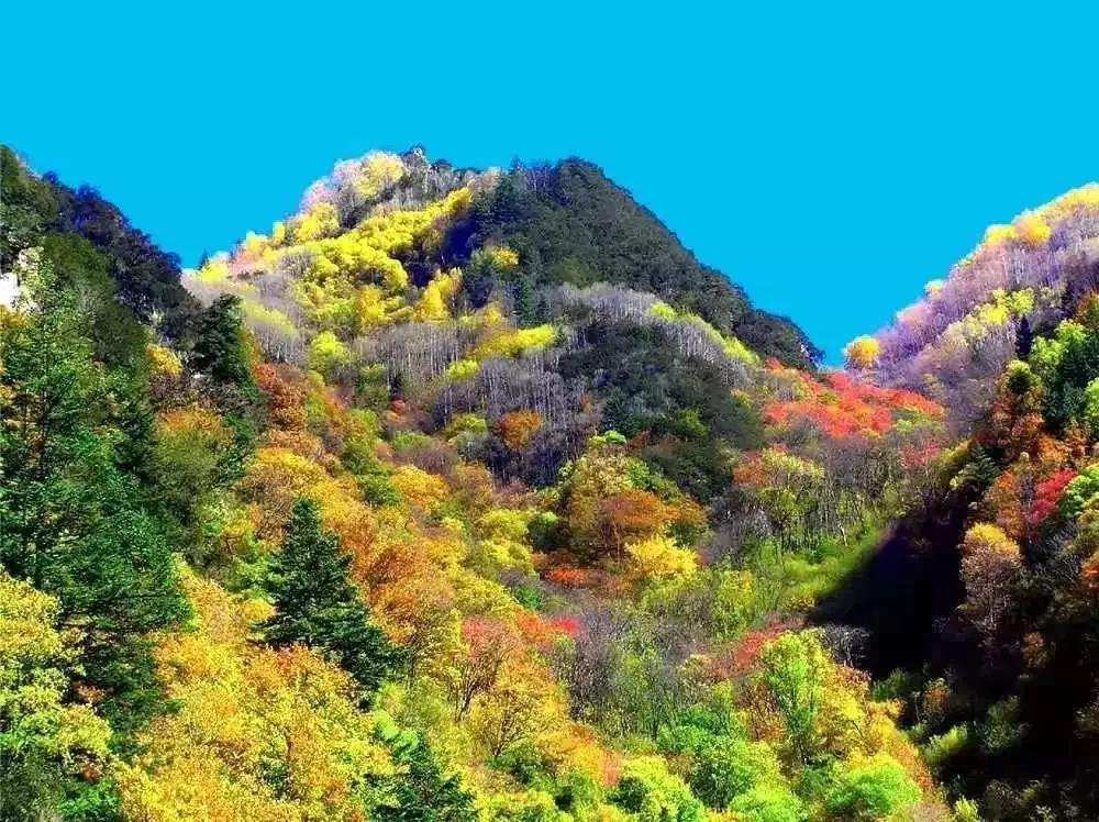 ཁྲོ་ཆུ་རྫོང་གིས་རིག་གནས་རྒྱུད་འཛིན་དང་སྲུང་སྐྱོང་བྱས།