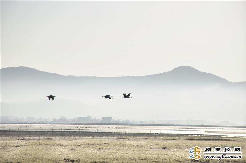 སེམས་ཀྱི་ཉི་ཟླར་ཁ་བ་བབས་བྱུང་།
