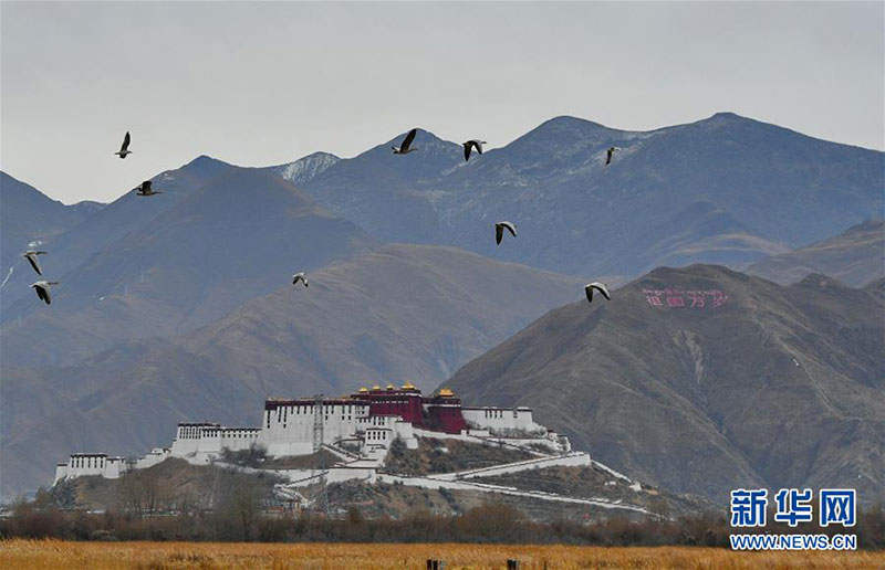ལྷ་ཀླུ་འདམ་ར།
