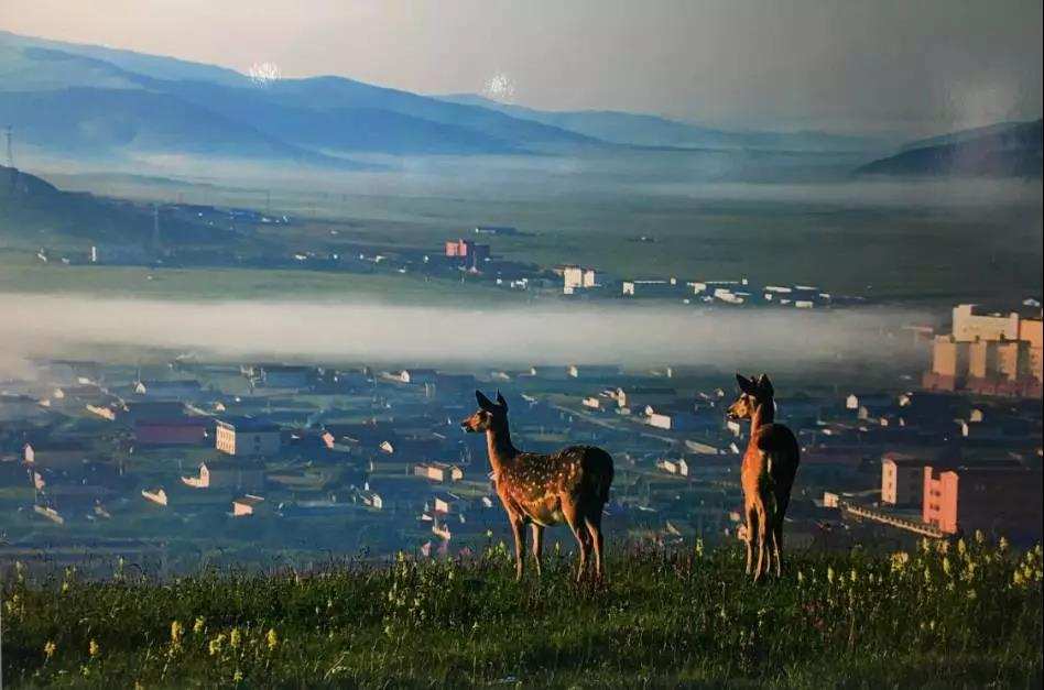 རྔ་བ་ཁུལ་གྱི་ཚོགས་ཆེན་གཉིས་སུ་ཡིག་གཟུགས་སོགས་འགྲེམ་སྟོན་བྱས།