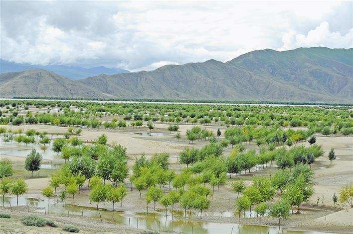 སྐྱེ་ཁམས་སྲུང་སྐྱོང་གི་ལས་ཀ་སྤེལ་བཞིན་པ།