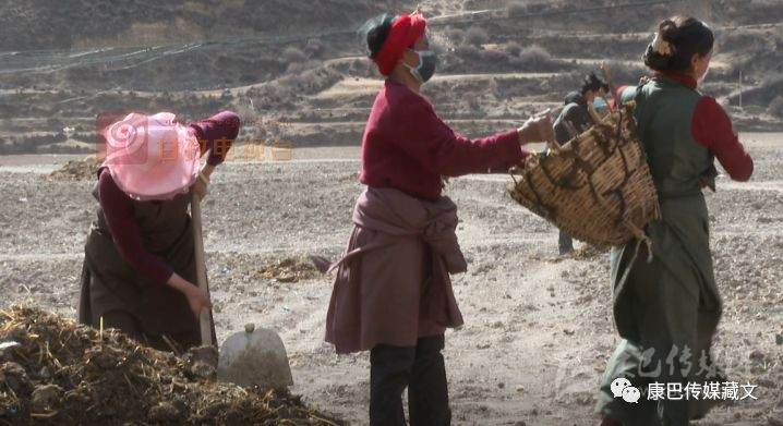 དཀར་མཛེས་ཁུལ་གྱི་ས་གནས་སོ་སོས་རིམས་འགོག་དང་དཔྱིད་རྨོད་ལས་ཀ་དམ་འཛིན་ལྷོད་མེད་བྱས།