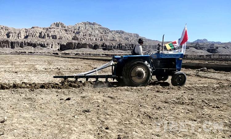 བོད་ལྗོངས་ཀྱི་གུ་གེའི་གནའ་ཤུལ་འོག་སྦྲང་དཀར་རྩམ་པས་མང་ཚོགས་ཀྱི་ཕྱུག་འགྱུར་ལམ་བུ་བཏོད་པ།