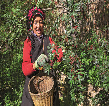 རྗེས་ལུས་མཐའ་ཁོབ་ཀྱི་གྲོང་ཚོའི་གནམ་ས་བླ་འོག་བསྒྱུར་བའི་འཕོ་འགྱུར།