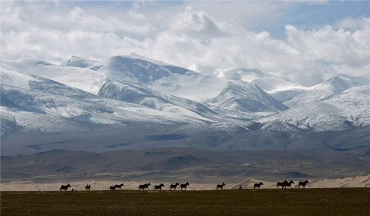 གཙང་གསུམ་འབྱུང་ཡུལ་གྱི་ལས་གཞི་ཆེན་མོ་འདིའི་ལས་རིམ་འདིར་སླེབས།