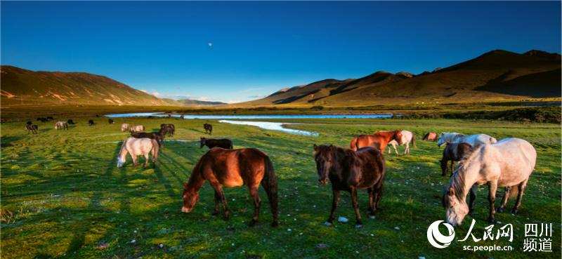 ལི་ཐང་རྫོང་དུ་རིག་གནས་ཡུལ་སྐོར་གྱི་ཐོན་ཁུངས་318གསར་དུ་བྱུང་།