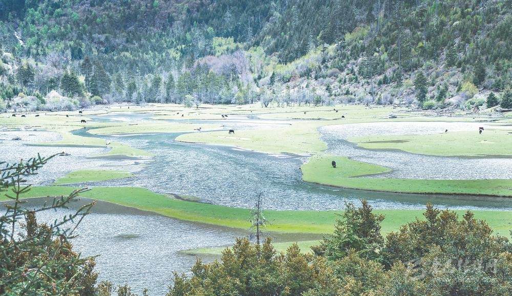 སྐྱེ་ཁམས་མཛེས་སྡུག་དང་མི་སེར་ཕྱུག་འགྱུར་མཉམ་འཕེལ་བྱུང་།