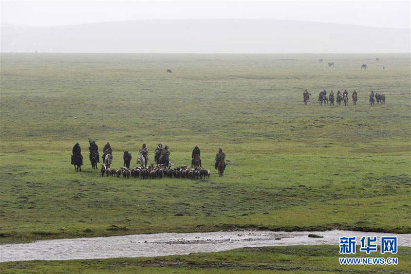 བོར་ཕྱུགས་ལེན་སའི་སྟོང་ལུག་གད་པ། 
