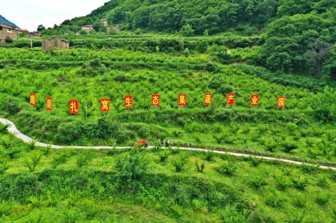 ཕྱུག་འགྱུར་གྱི་རེ་བ་བསྐང་ཐུབ་པའི་ཤིང་ཏོག་ལི་སོབ།
