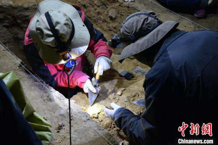 ཏན་ཉི་སའོ་ཝ་མི་ཡ་ཐོག་ནས་མཚོ་བོད་མཐོ་སྒང་དུ་འཚོ་སྡོད་བྱས་ཡོད། 