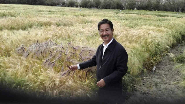 ནས་འདེབས་མཁན་འབུམ་རམས་པ་ཉི་མ་བཀྲ་ཤིས་ཀྱི་སྐོར་བྲིས་པ།