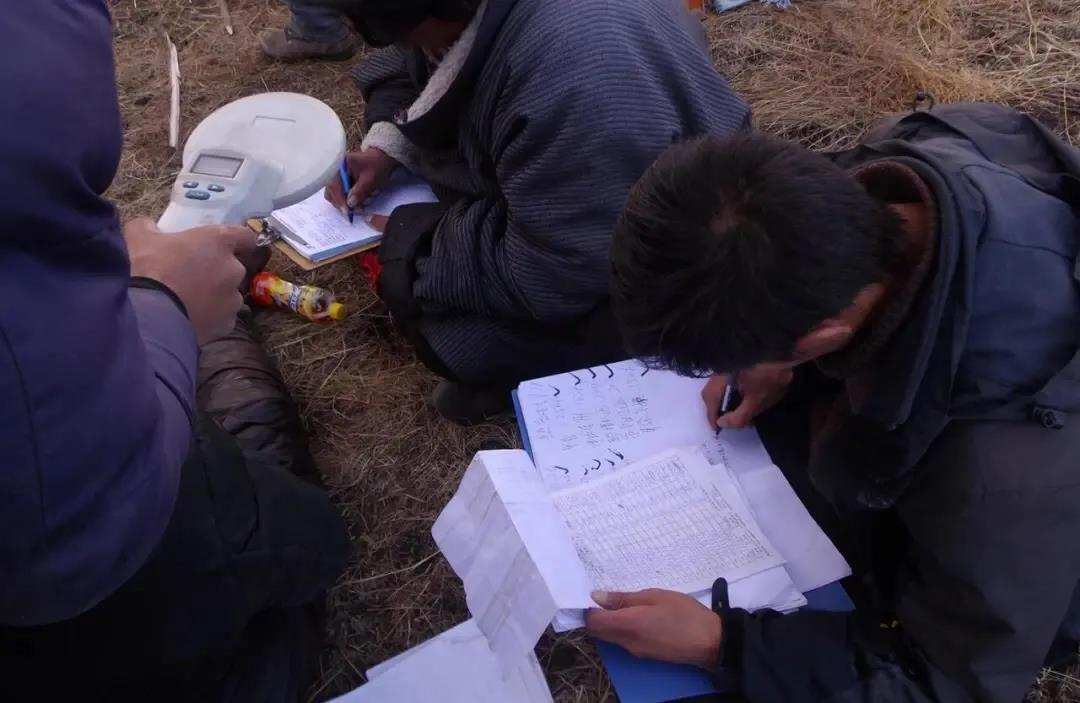ནོར་གནག་ཤི་ན་འགན་བཅོལ་ཀུང་སིས་སྐྱིན་དངུལ་མང་པོ་སྟེར།