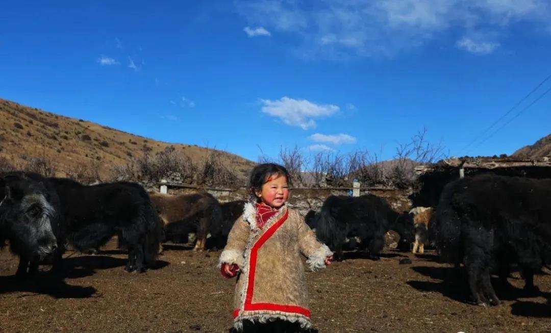དཀར་མཛེས་སུ་ཡང་བུ་མོ་དྲ་གྲགས་ཞིག་ཐོན་འདུག