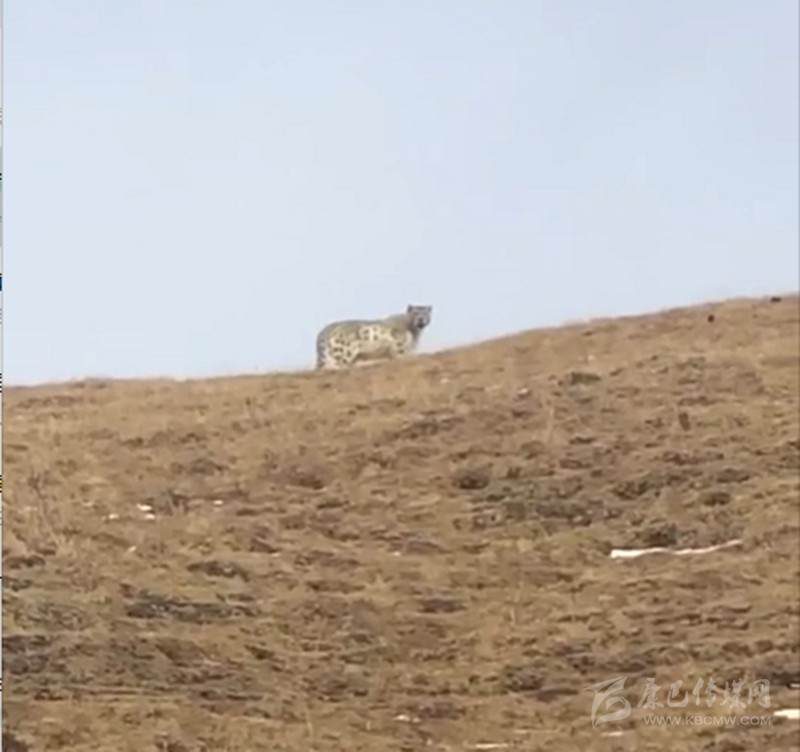 སྡེ་དགེ་རྫོང་རྫ་བར་མ་ནས་གསའ་ཞིག་མཐོང་།