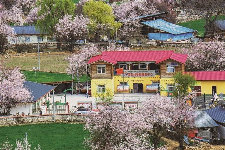 བོད་ལྗོངས་རྫ་ཡུལ་གྱི་ལོ་མ་གྲོང་ཚོའི་རི་སྐྱེས་ཁམ་བུའི་གླིང་།