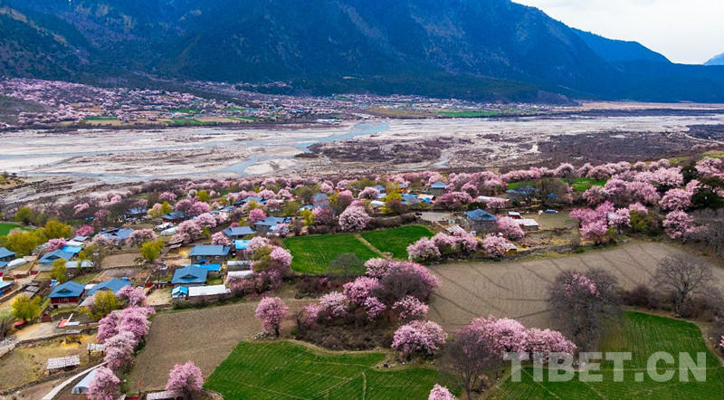 ཁྱད་ལྡན་ལེགས་ཆའི་ཐོན་ལས་ལ་བརྟེན་ནས་སྐྱེ་ཁམས་ཡུལ་སྐོར་སྤུས་ཚད་མཐོན་པོའི་སྒོ་ནས་འཕེལ་རྒྱས་གཏོང་བའི་དཔྱིད་ཀྱི་དུས་བཟང་བསུ་བ།