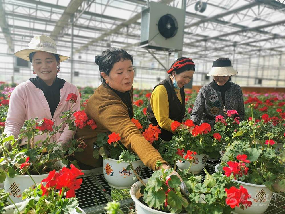 མཐོ་སྒང་གི་རྩི་ཤིང་ར་བར་བརྟེན་ནས་ཡུལ་མིའི་དངུལ་ཁུག་མཐུག་པོར་ཆགས།