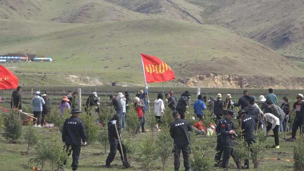 ཁྱུང་མཆུ་རྫོང་གིས་སྡོང་འཛུགས་ནགས་སྐྲུན་གྱི་བྱ་འགུལ་སྤེལ།