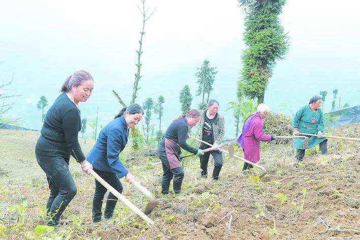 ཁྱད་ལྡན་ཞིང་ལས་ཀྱིས་གྲོང་གསེབ་དར་རྒྱས་གཏོང་རོགས་བྱས་པ།