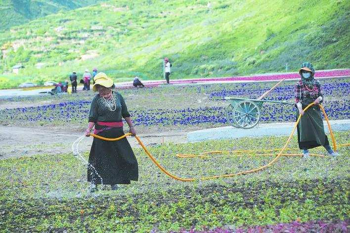 ཟུང་ཆུ་རྫོང་གིས་ས་མཐོའི་དེང་རབས་ཞིང་ལས་ཐོན་ལས་གླིང་བསྐྲུན་པ།