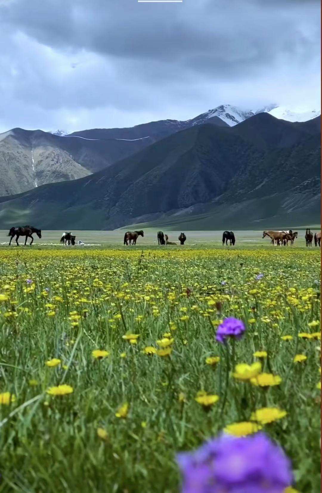 ༄༅།།བོད་གནའ་རབས་ཀྱི་ཤིང་རྐོས་སྐོར་མདོ་ཙམ་བརྗོད་པ།